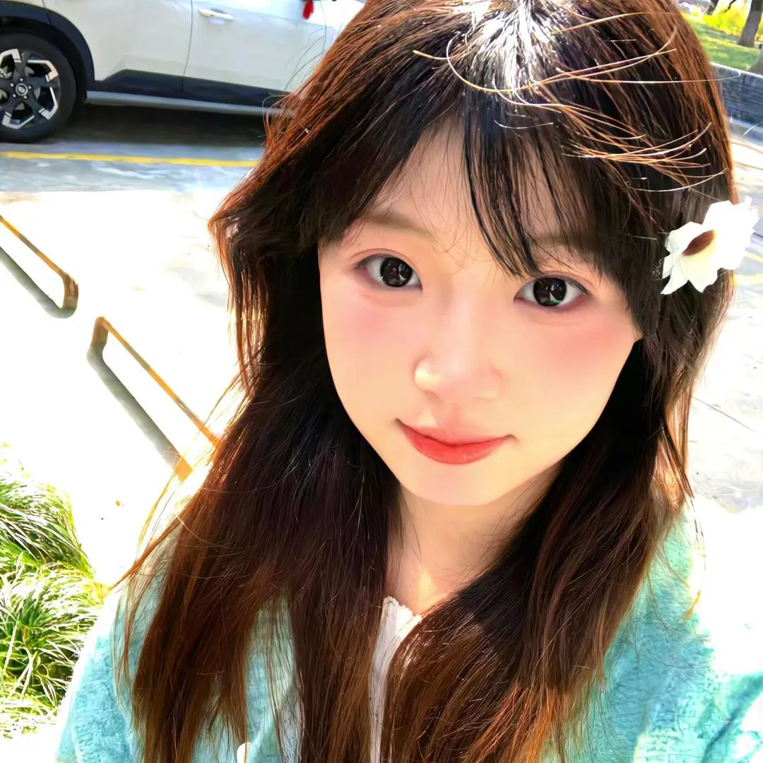 玫瑰战争